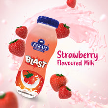 Load image into Gallery viewer, Param Premium Flavoured Milk (Pack of 12)