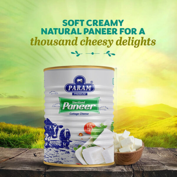 Param Premium Sterilized Paneer - Image 6